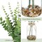 Artificial Eucalyptus Stems in Glass Vase with Faux Water and Stones, 15.7" Fake Plants Eucalyptus Leaves Branch for Indoor Shelf Desk Home Bathroom Wedding Table Centerpiece Decor